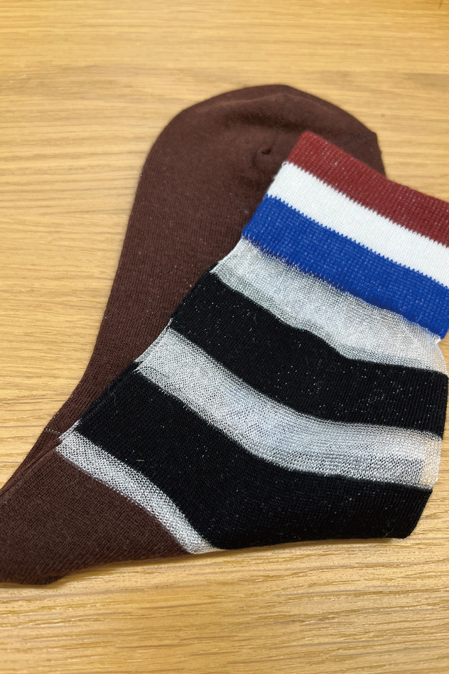 TRANSPARENT STRIPE SOCKS 詳細画像 purple 5