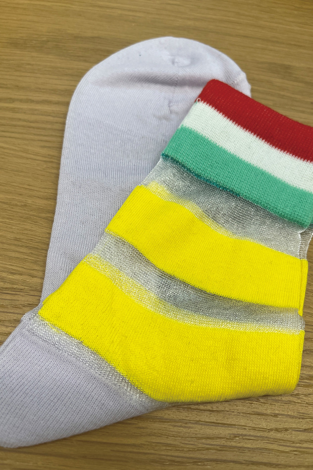 TRANSPARENT STRIPE SOCKS 詳細画像 purple 8