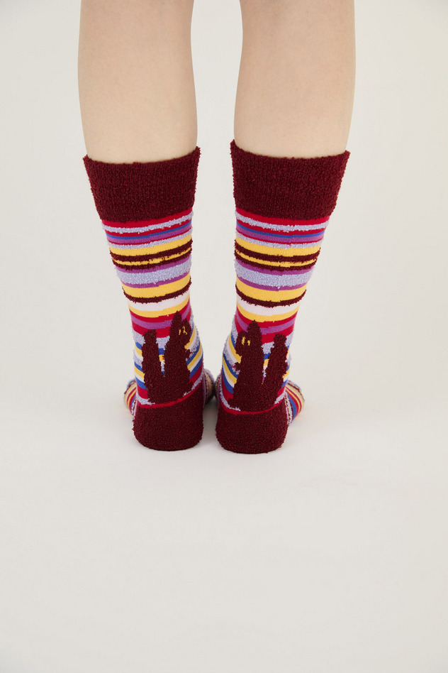 COLORFUL STRIPE SOCKS 詳細画像 bordeaux 5