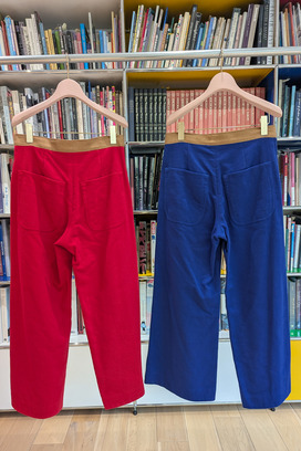 BIG CARSEY BRUSHED PANTS 詳細画像