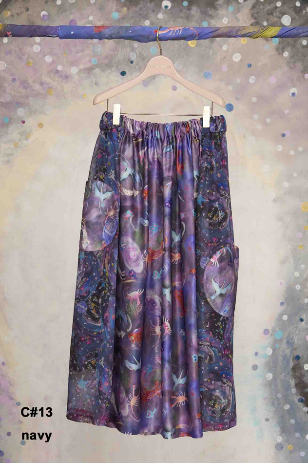 4.Andromeda & starry sky Skirt 詳細画像 navy 1
