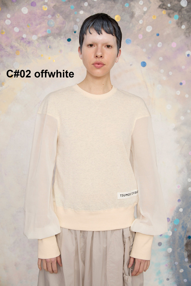 23.Organdy docking urake Tops 詳細画像 off white 1