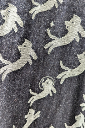 Kiraneko JQ Denim Pants 詳細画像