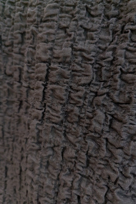 Shrink Lace	 Long sleeve 詳細画像