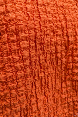 Shrink Lace	Tops 詳細画像