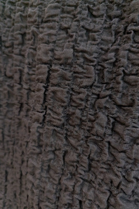 Shrink Lace	Tops 詳細画像